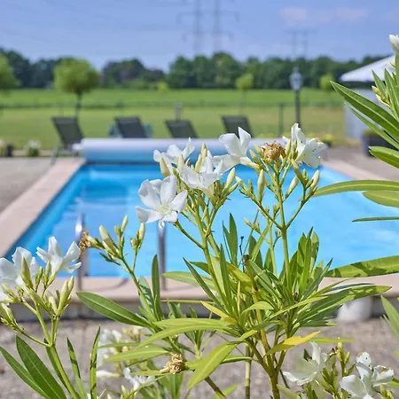 De Vrije Vogel * Oisterwijk