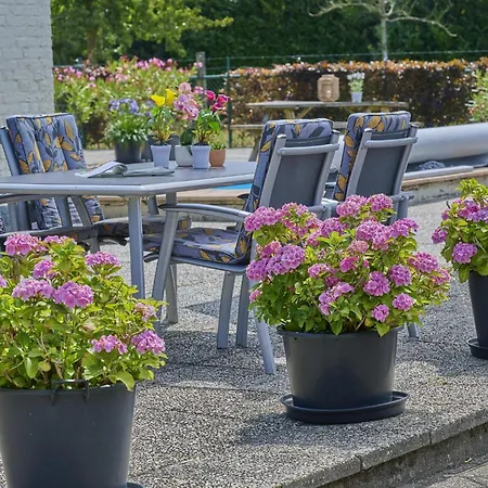 Holiday home De Vrije Vogel Oisterwijk