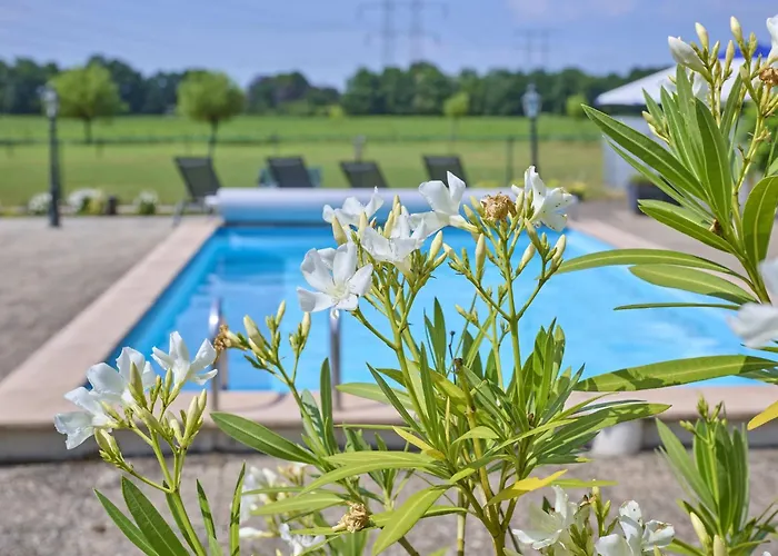 De Vrije Vogel * Oisterwijk