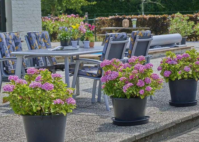 Semesterbostad De Vrije Vogel *